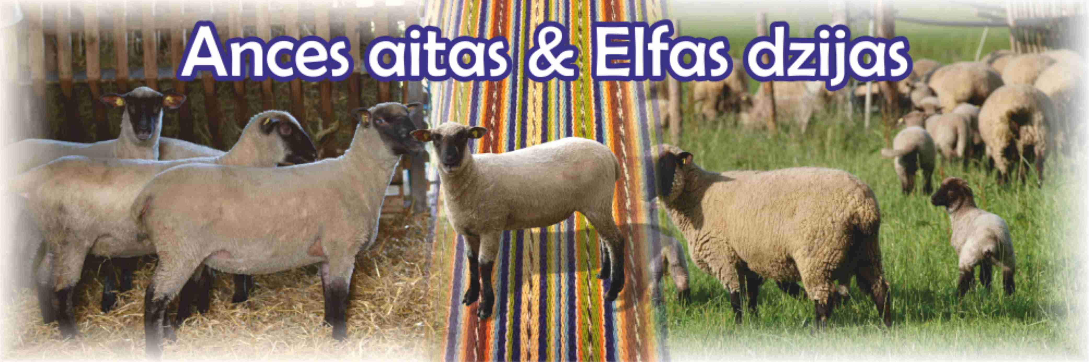 Ances AITAS & ELFAS dzijas