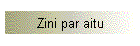 Zini par aitu