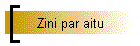 Zini par aitu