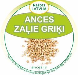 Ances zaei grii