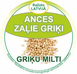 Ances zao griu milti